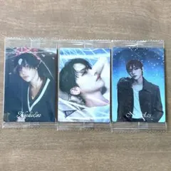 &TEAM NICHOLAS ニコラス ウエハース シール セット