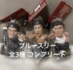 新品未開封 ブルースリー ボイスキーホルダー 全3種 コンプリートのサムネイル