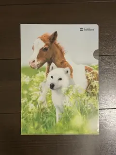 SoftBank 子馬と白い犬 クリアファイル A4