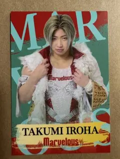マーベラス　プロレスカード　彩羽匠