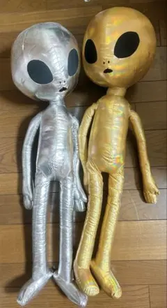 Item thumbnail for item 5119d2fe-121e-4610-9ea4-6e841726e355