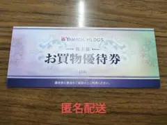 ヤマダデンキ　お買物優待券　株主優待券　5000円分