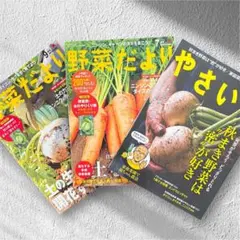 【美品】やさい畑 野菜だより 3冊 2025年7月 9月 10月 夏号 秋号のサムネイル