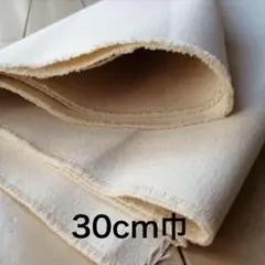 Item thumbnail for item ee90d801-7b0e-48d9-8f4b-3c02df5389fc