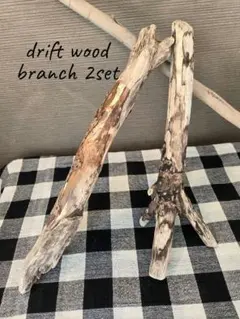 Item thumbnail for item cc005802-2e78-4dce-a730-5a0a0c5e4f95