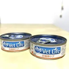 Farmina Vet Life 皮膚ケア低アレルゲン 試供品 50g - メルカリ