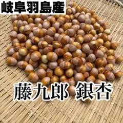 まちゃこ様専用出品