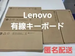 Lenovo 有線キーボード ドイツ語対応 まとめ売り ブラックのサムネイル