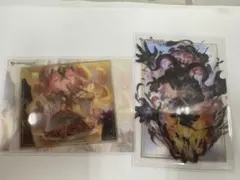 ミロ様専用　グラブルクリアカード2枚