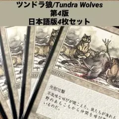 2026年最新】tundra mtgの人気アイテム - メルカリ