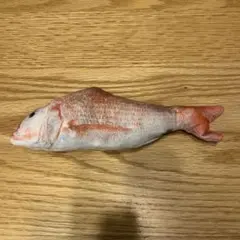 Item thumbnail for item 8a3730d9-e30a-46d9-8744-1df33137b51a