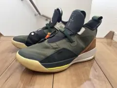 か*ん様 Travis Scott Air Jordan 33 Cactus J
