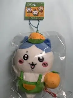 ちいかわ　静岡限定　みかん　ハチワレ