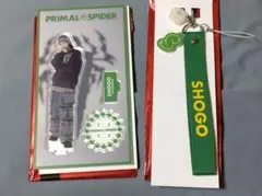 THE RAMPAGE(ランペ) 岩谷翔吾 アクスタ、マルチストラップセット