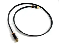 NEO by OYAIDE d+ USB class A rev2 1.0m