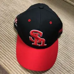 Item thumbnail for item ce34e4a7-3b65-4c95-8608-8aae1e39b4cb