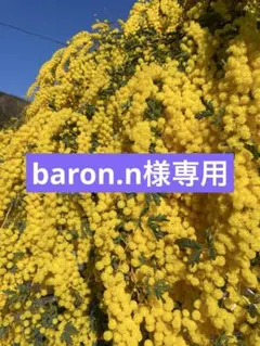 baron.n様専用１００サイズ
