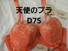 トリンプ 天使のブラ