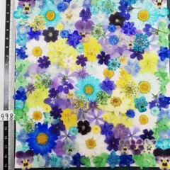 押し花素材　NO998 ノースボール ビオラ 紫陽花　バーベナ 小花 押し花