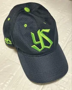 Item thumbnail for item b2984fb9-afeb-44cf-9990-9f46e4d20685