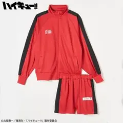 Item thumbnail for item 5cc339f3-03fb-46db-8d2f-44b946fa0c30