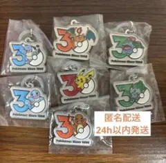 ポケモン 30周年 メタルチャームマスコット めじるし　コンプリートセット