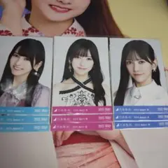 乃木坂46 池田瑛紗 乃木コレ 生写真 まとめ売り