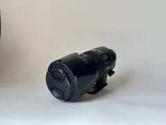 ニコン AF-S NIKKOR 70-200mm f/2.8E FL ED VR