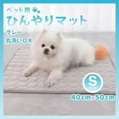 Item thumbnail for item 899857b1-3a82-42cb-82c0-0bb206b09ca2