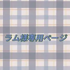 lapin(うさぎ)様専用ページウィッグオーダー - メルカリ