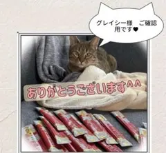 グレイシー様　ご確認用です♥