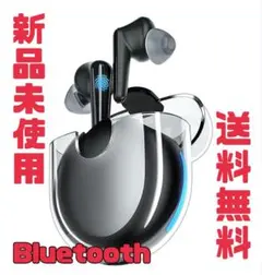 2022年初登場 Bluetooth ワイヤレスイヤホン IPX5防水 急速充電