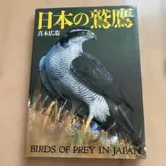 Item thumbnail for item 866a6a02-c99d-465e-b696-6aad2671dc71