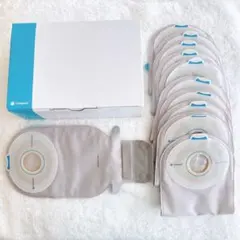 Item thumbnail for item c81cec15-4d94-4258-84cc-62fe79207094