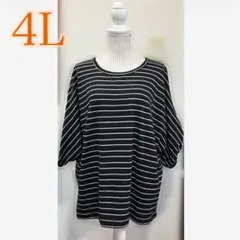 noannu /ボーダー柄 / チュニック / トップス/ 4L