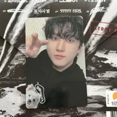 Stray Kids チャンビン　トレカ