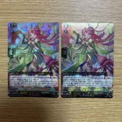ヴァンガード　恋縛の乙女 マーガレット FFR 2枚 恋縛の乙女マーガレット【FFR】{D-BT10/FFR15}《ストイケイア》