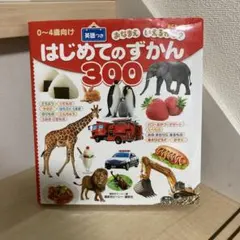 BCキッズ おなまえ いえるかな? はじめてのずかん300 英語つき