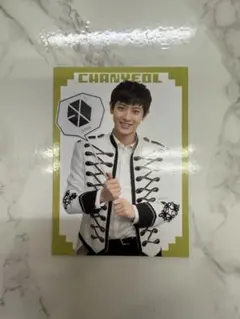 EXO ADVENTURE ペンミ CHANYEOL チャニョル トレカ
