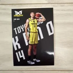 Item thumbnail for item a97e1790-583a-4454-a779-1e98fe575172