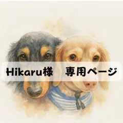 Hikaru様　専用ページ