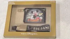 ファンダフルディズニー限定　ビッグバンドビート　カメラストラップ　パスケース付き