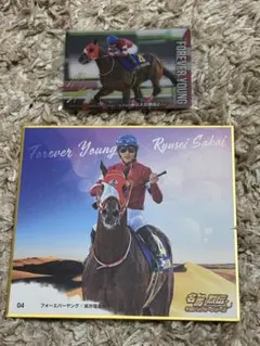 フォーエバーヤング坂井瑠星騎手