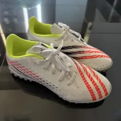 Item thumbnail for item b1b969e6-db68-4418-b3fa-4be767d76520