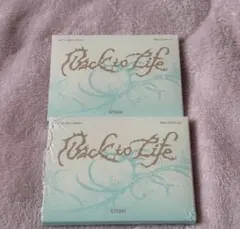 &team back to life 未開封