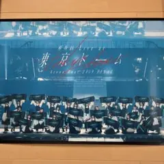欅坂46 アクリルポスターB2 新品未使用　東京ドーム