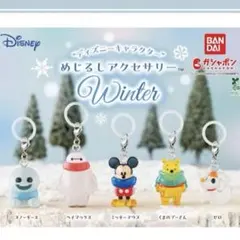ディズニー めじるしアクセサリー Winter 3個セット ミッキー