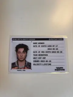 SEVENTEEN happy burstday ウォヌ IDカード
