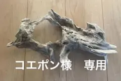 流木