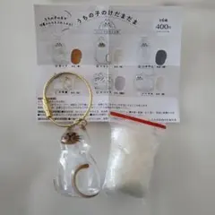 うちの子のけだまだま